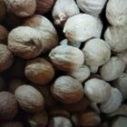 Oplus_16908288