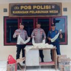 oplus_2