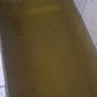 Oplus_16908288