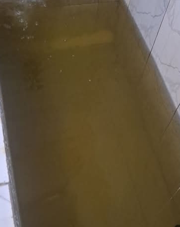 Oplus_16908288